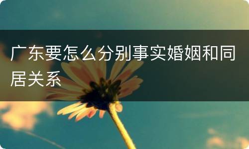广东要怎么分别事实婚姻和同居关系