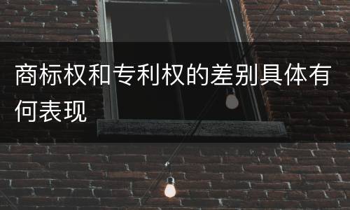 商标权和专利权的差别具体有何表现