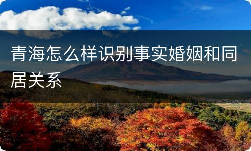 青海怎么样识别事实婚姻和同居关系