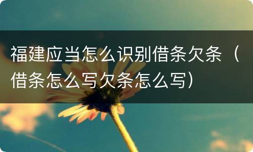 福建应当怎么识别借条欠条（借条怎么写欠条怎么写）