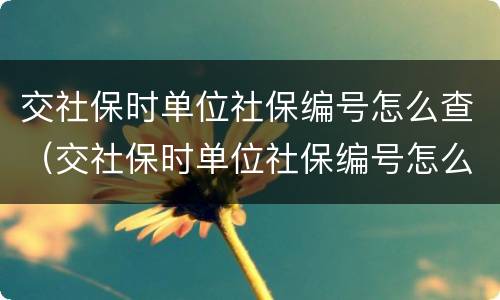 交社保时单位社保编号怎么查（交社保时单位社保编号怎么查看）