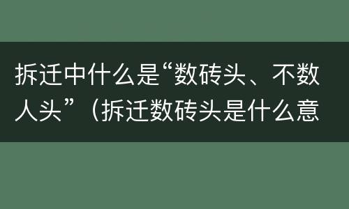 拆迁中什么是“数砖头、不数人头”（拆迁数砖头是什么意思）
