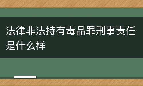 法律非法持有毒品罪刑事责任是什么样