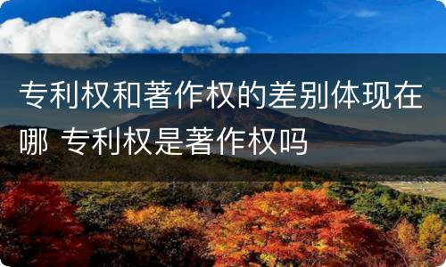 专利权和著作权的差别体现在哪 专利权是著作权吗