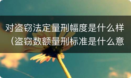 对盗窃法定量刑幅度是什么样（盗窃数额量刑标准是什么意思）