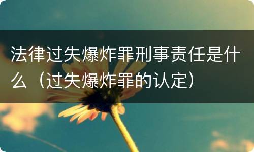 法律过失爆炸罪刑事责任是什么（过失爆炸罪的认定）