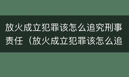 放火成立犯罪该怎么追究刑事责任（放火成立犯罪该怎么追究刑事责任案例）