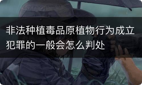 非法种植毒品原植物行为成立犯罪的一般会怎么判处