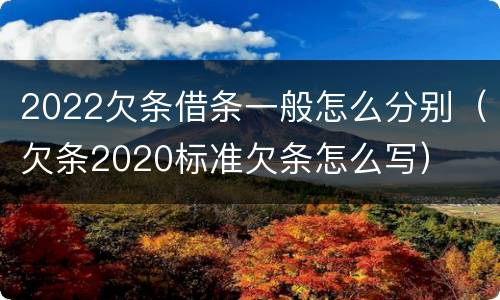 2022欠条借条一般怎么分别（欠条2020标准欠条怎么写）