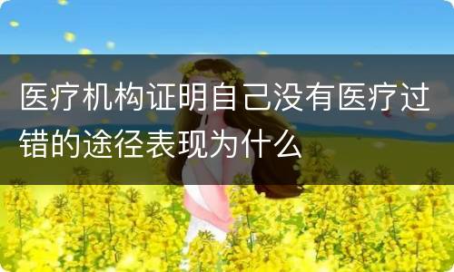 医疗机构证明自己没有医疗过错的途径表现为什么