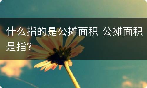 什么指的是公摊面积 公摊面积是指?