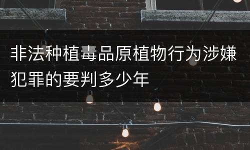 非法种植毒品原植物行为涉嫌犯罪的要判多少年