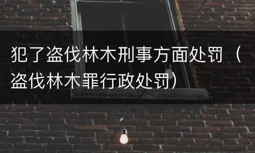 犯了盗伐林木刑事方面处罚（盗伐林木罪行政处罚）