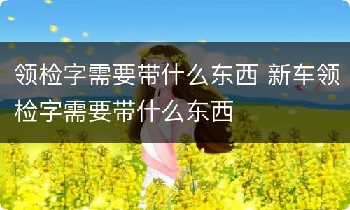 领检字需要带什么东西 新车领检字需要带什么东西