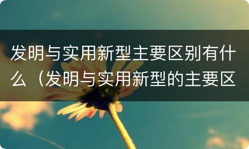 发明与实用新型主要区别有什么（发明与实用新型的主要区别）