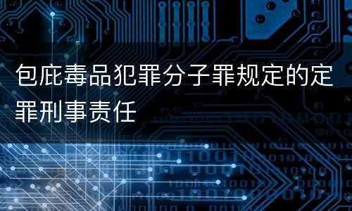 包庇毒品犯罪分子罪规定的定罪刑事责任