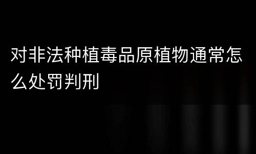 对非法种植毒品原植物通常怎么处罚判刑