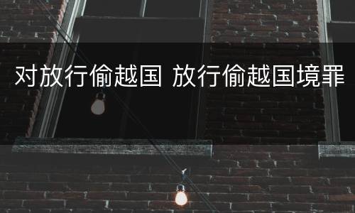 对放行偷越国 放行偷越国境罪