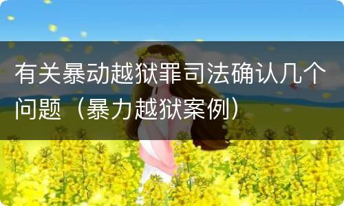 有关暴动越狱罪司法确认几个问题(暴力越狱案例)