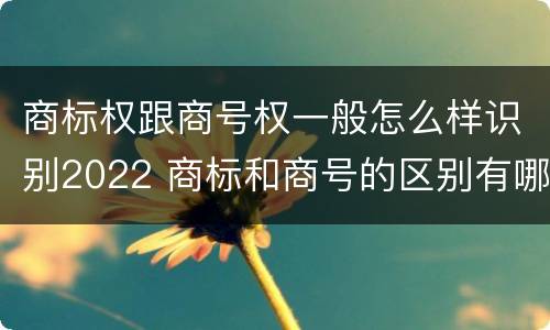 商标权跟商号权一般怎么样识别2022 商标和商号的区别有哪些?