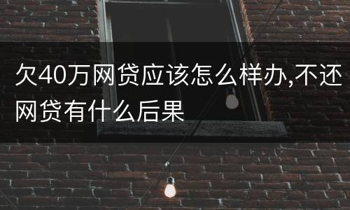 欠40万网贷应该怎么样办,不还网贷有什么后果