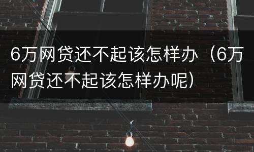 6万网贷还不起该怎样办（6万网贷还不起该怎样办呢）