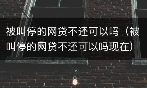 被叫停的网贷不还可以吗（被叫停的网贷不还可以吗现在）