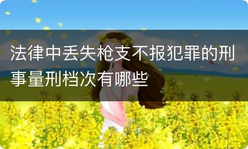 法律中丢失枪支不报犯罪的刑事量刑档次有哪些