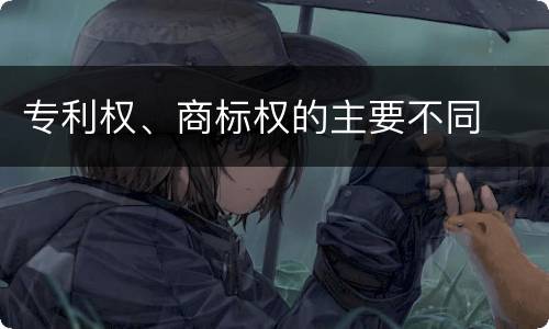 专利权、商标权的主要不同
