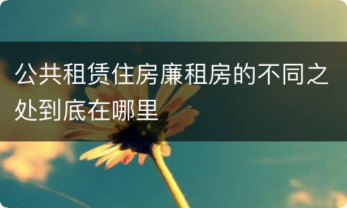 公共租赁住房廉租房的不同之处到底在哪里