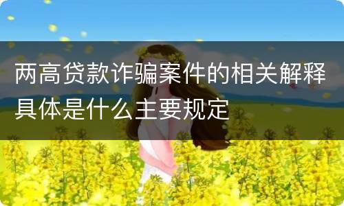 两高贷款诈骗案件的相关解释具体是什么主要规定