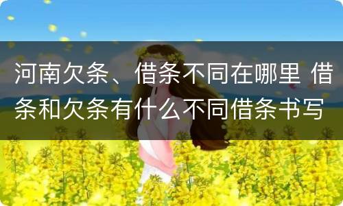 河南欠条、借条不同在哪里 借条和欠条有什么不同借条书写