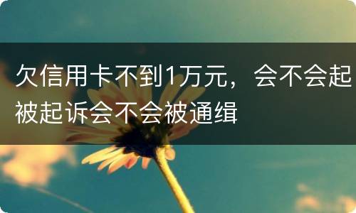 欠信用卡不到1万元，会不会起被起诉会不会被通缉