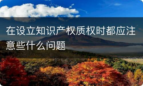 在设立知识产权质权时都应注意些什么问题