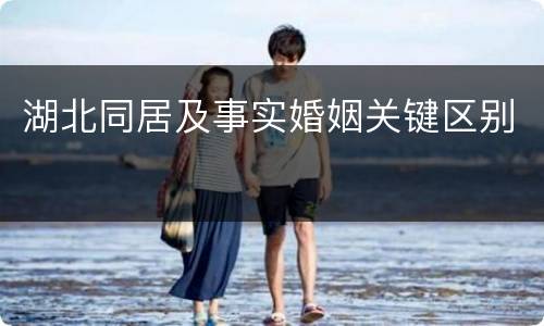 湖北同居及事实婚姻关键区别