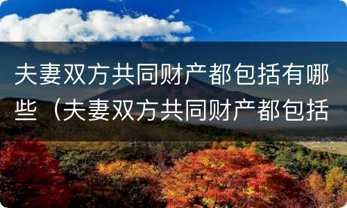 夫妻双方共同财产都包括有哪些（夫妻双方共同财产都包括有哪些内容）