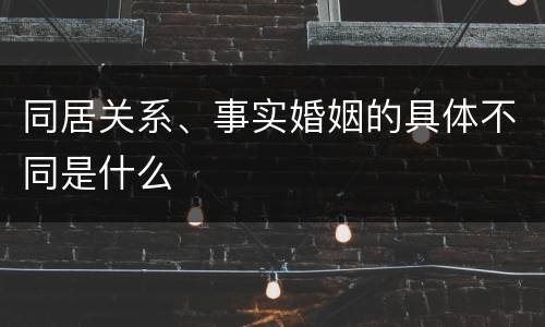 同居关系、事实婚姻的具体不同是什么