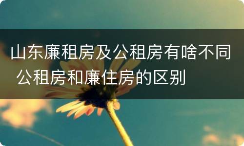山东廉租房及公租房有啥不同 公租房和廉住房的区别