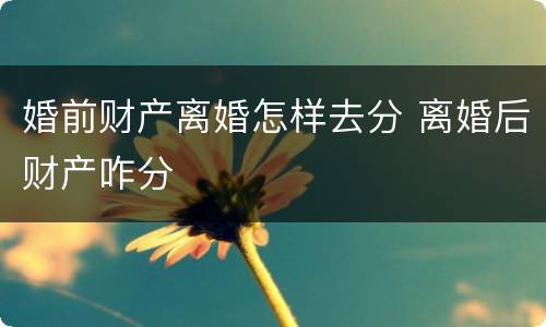 婚前财产离婚怎样去分 离婚后财产咋分