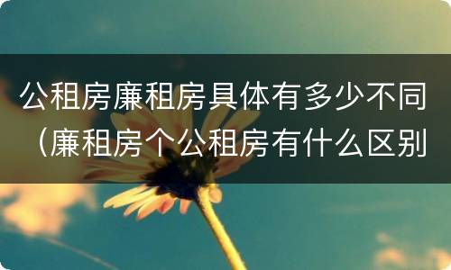 公租房廉租房具体有多少不同（廉租房个公租房有什么区别）