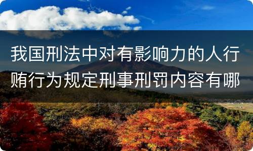 我国刑法中对有影响力的人行贿行为规定刑事刑罚内容有哪些