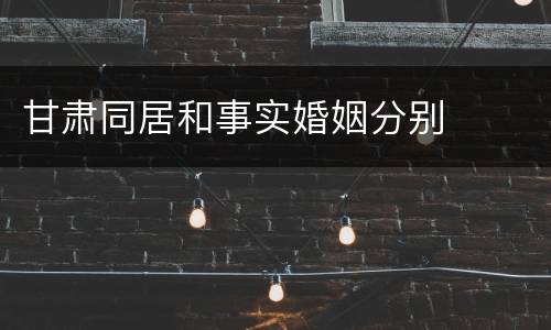 甘肃同居和事实婚姻分别