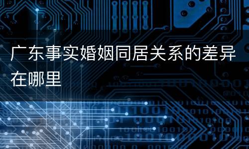 广东事实婚姻同居关系的差异在哪里