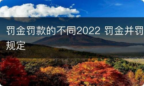 罚金罚款的不同2022 罚金并罚规定