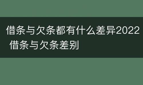 借条与欠条都有什么差异2022 借条与欠条差别