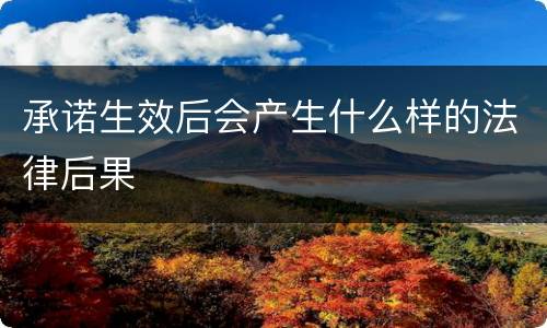 承诺生效后会产生什么样的法律后果