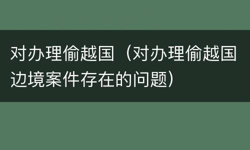 对办理偷越国（对办理偷越国边境案件存在的问题）