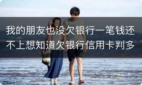 我的朋友也没欠银行一笔钱还不上想知道欠银行信用卡判多少年