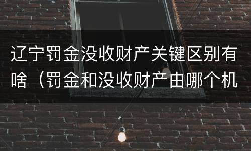 辽宁罚金没收财产关键区别有啥（罚金和没收财产由哪个机关执行）