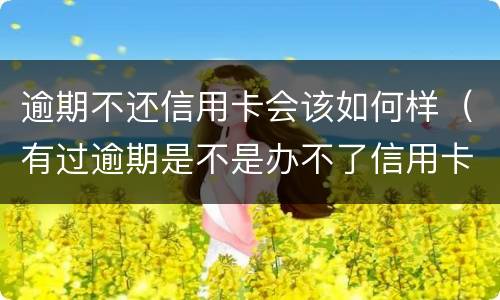 逾期不还信用卡会该如何样（有过逾期是不是办不了信用卡）